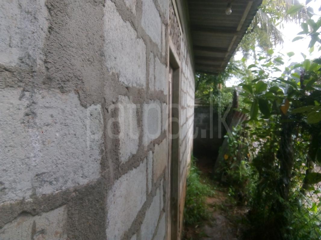 House for Sale in Peradeniya ads-image-1