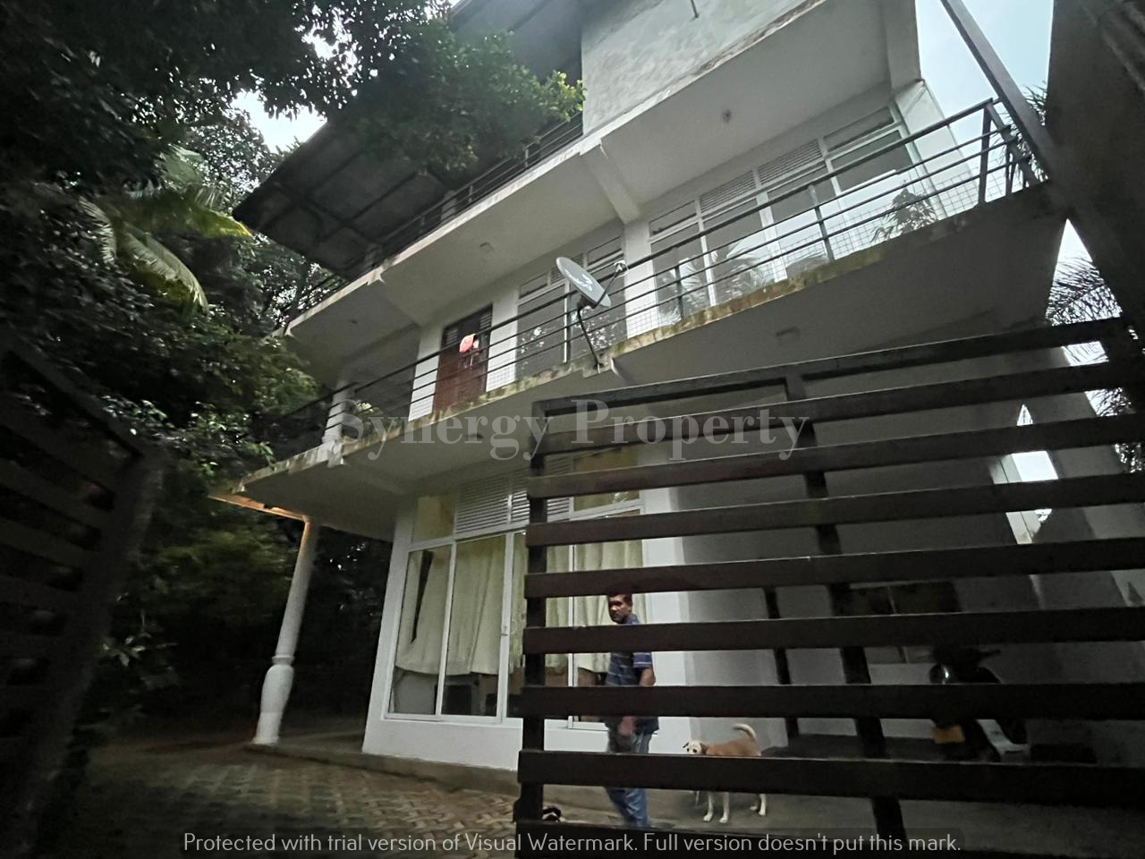 Advertisement image 6