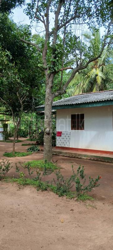 Residential Land for Sale in Kataragama