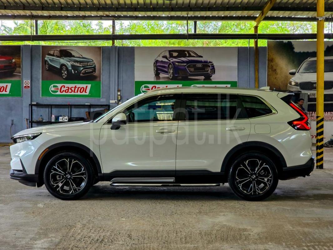 Advertisement image 5