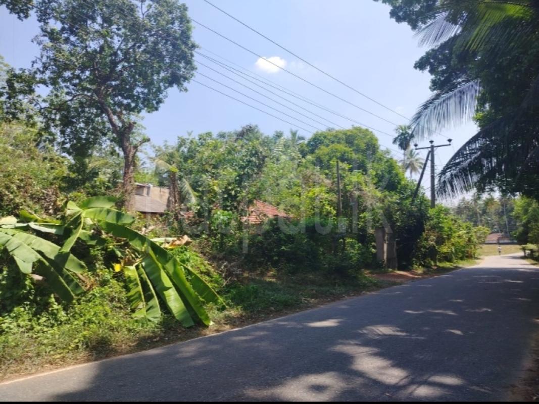 Residential Land for Sale in Dompe