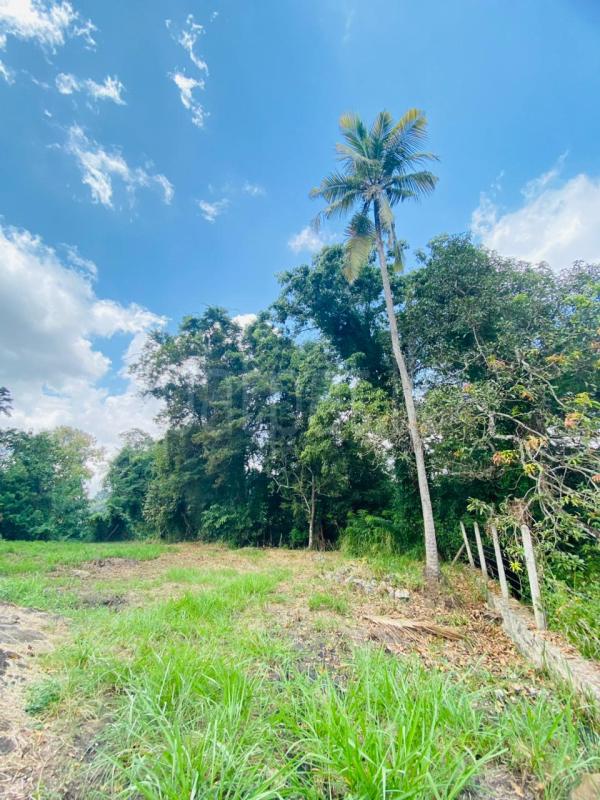 Commercial Land for Sale in Narammala