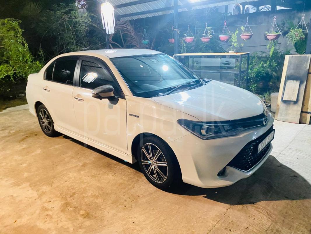 Advertisement image 1