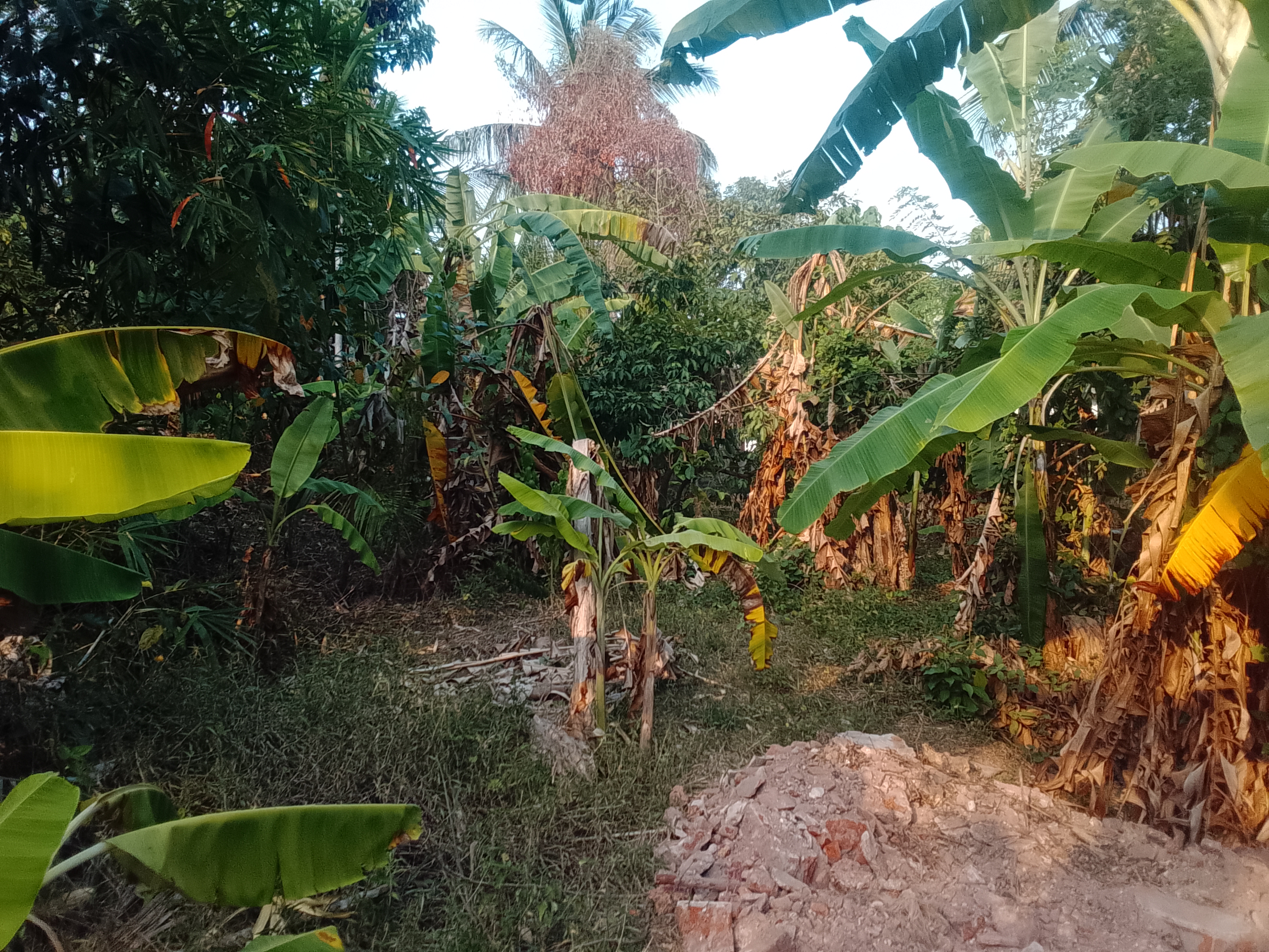 Residential Land for Sale in Kelaniya