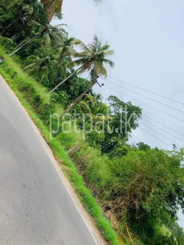 Residential Land for Sale in Veyangoda