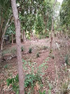 House for Sale in Vavuniya