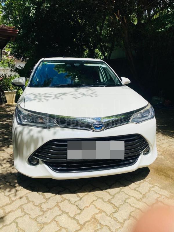 Advertisement image 2