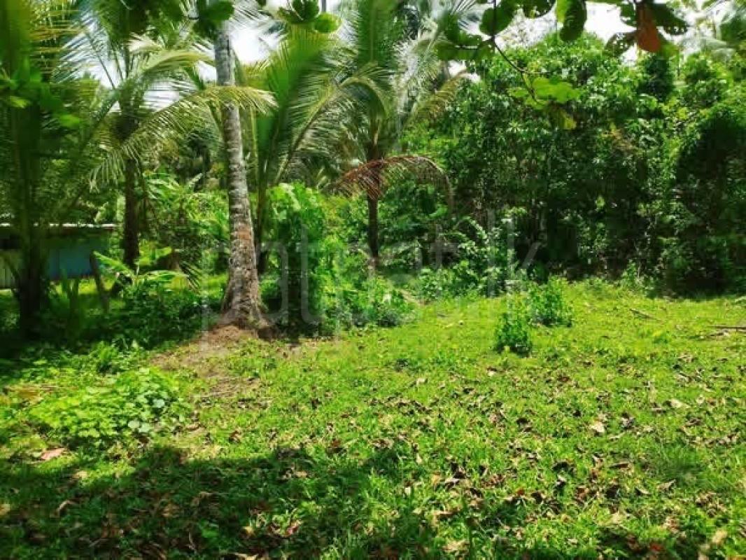 premium-listing-image