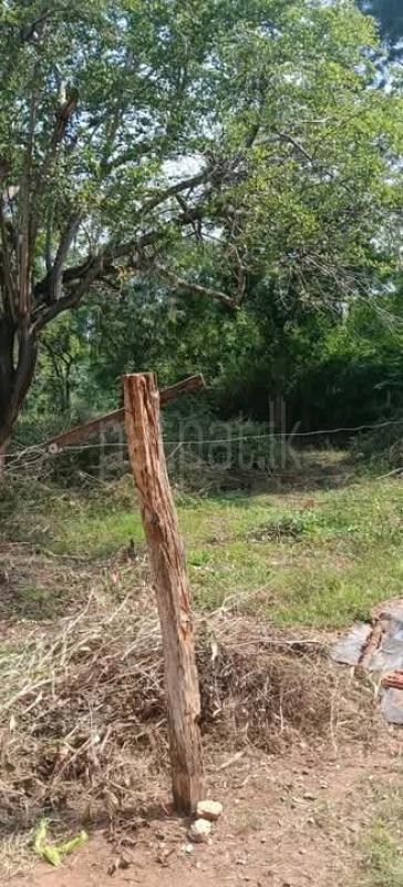 Commercial Land for Sale in Kataragama