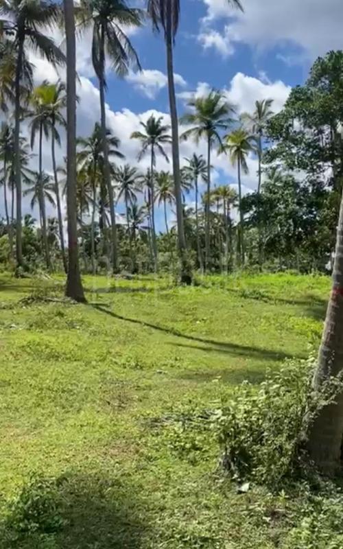 Agricultural Land for Sale in Beliatta ads-image-1