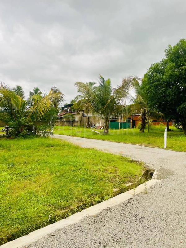 Residential Land for Sale in Kurunegala
