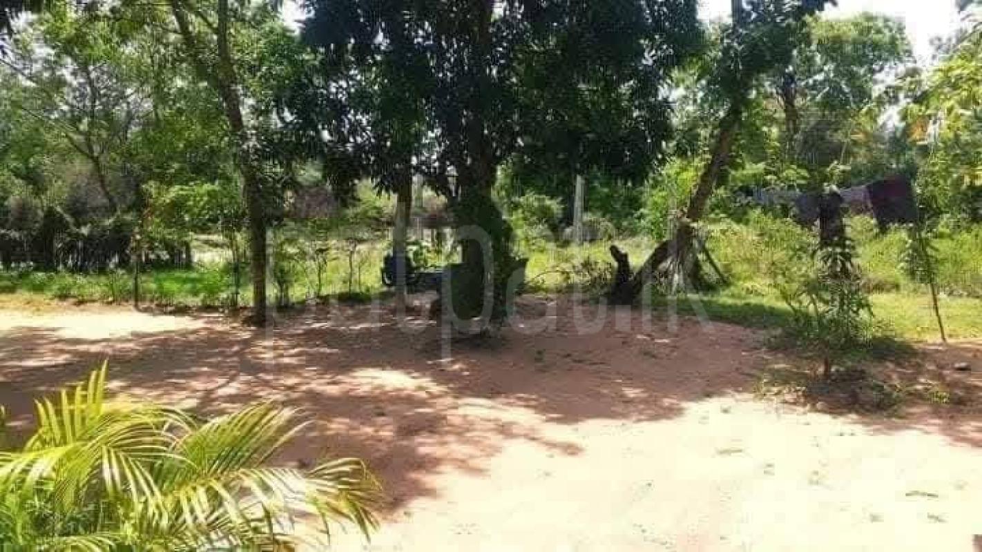 Advertisement image 5