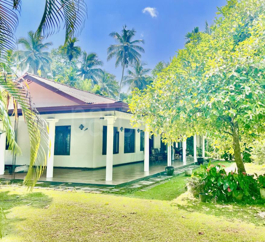 House for Sale in Pallepola