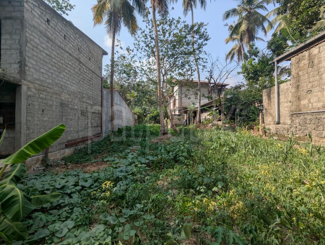 Commercial Land for Sale in Mandawala