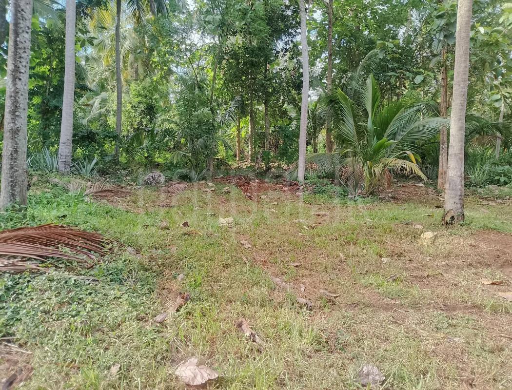 Agricultural Land for Sale in Beliatta