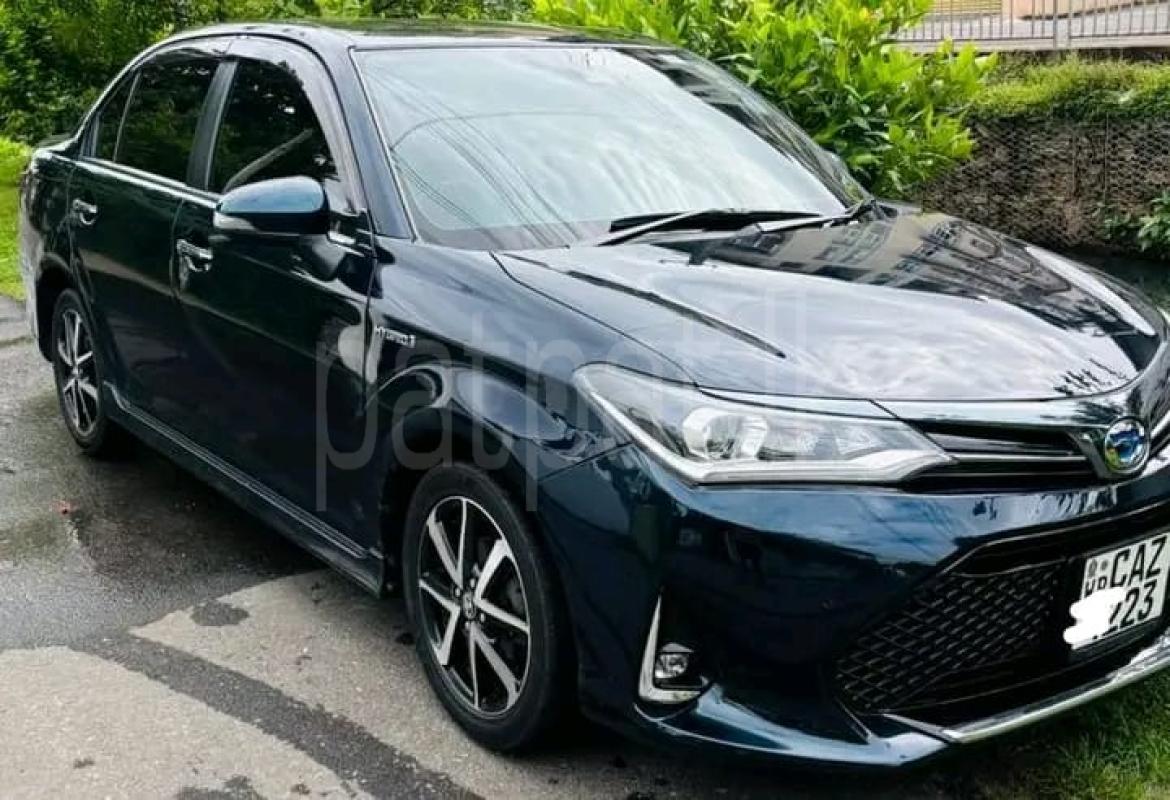 Advertisement image 2