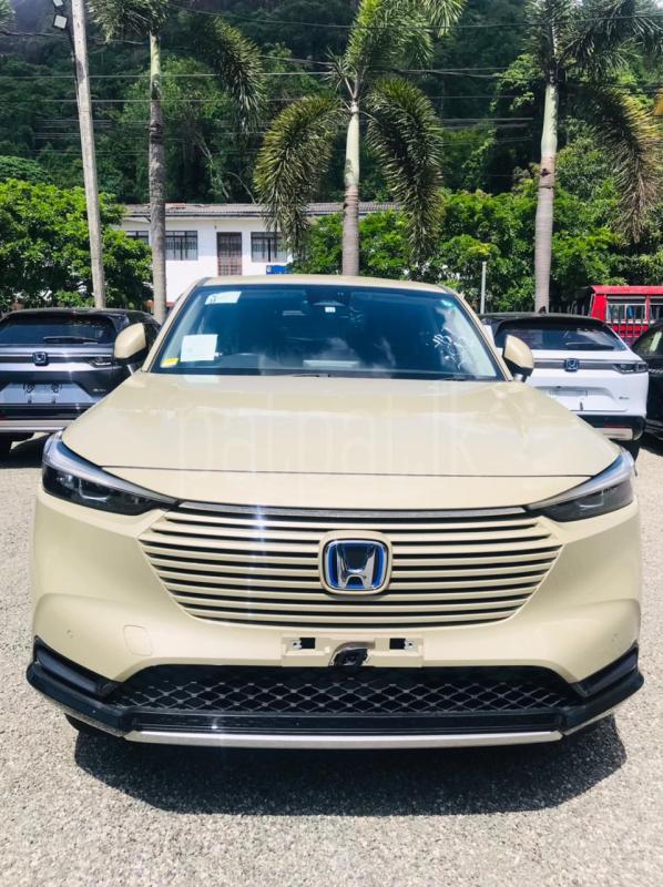 Advertisement image 1