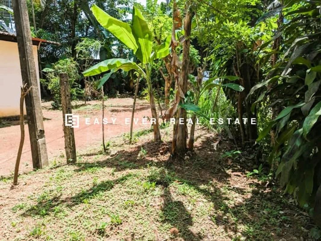 Commercial Land for Sale in Ragama
