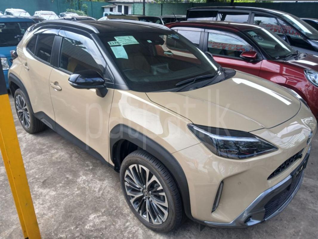 Advertisement image 2