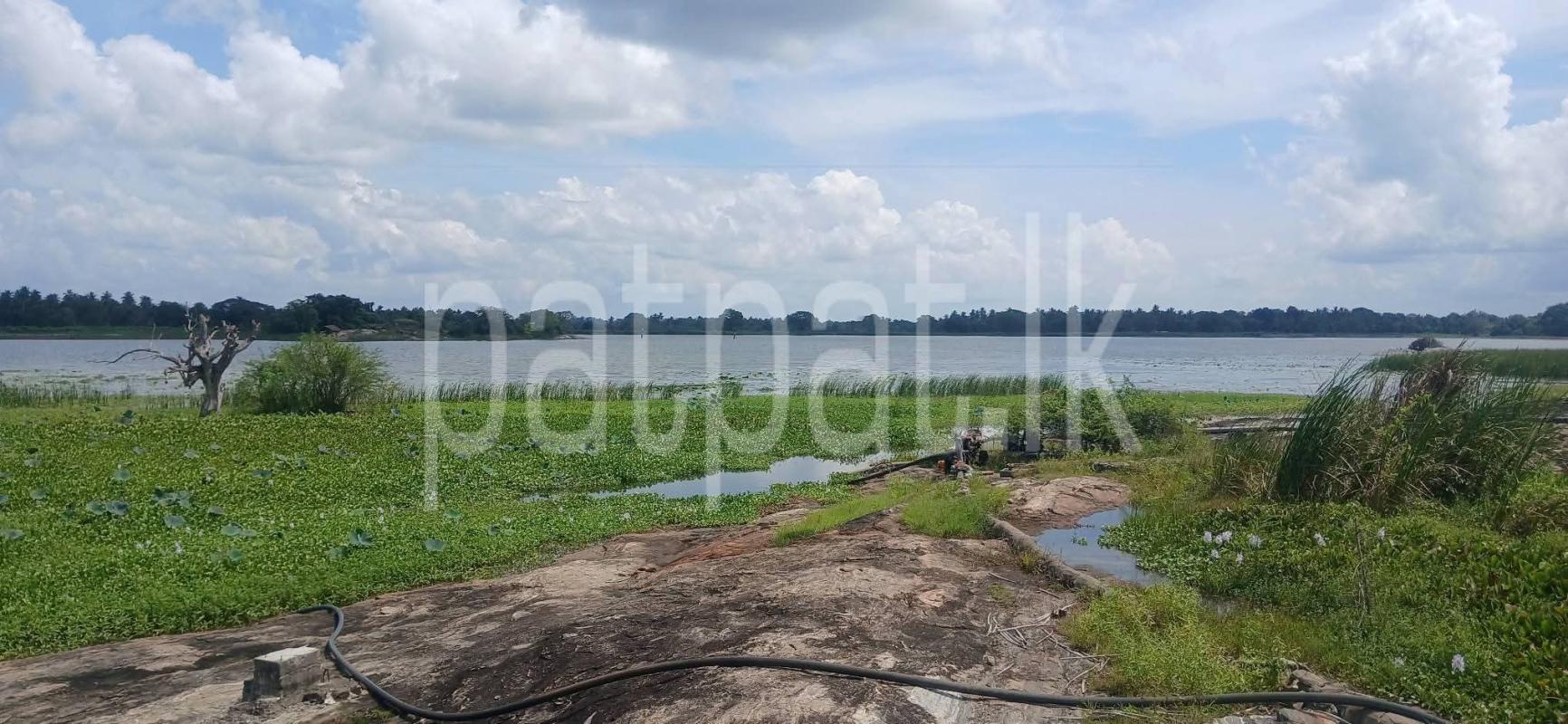 Agricultural Land for Sale in Kataragama