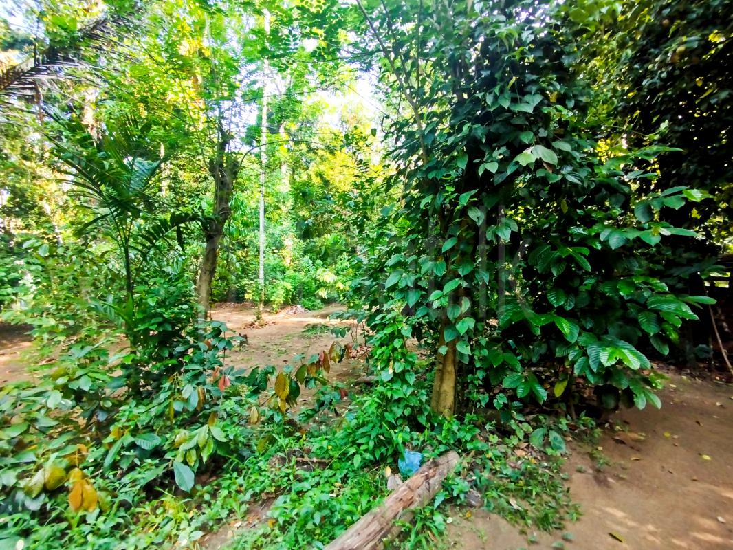 Residential Land for Sale in Menikhinna