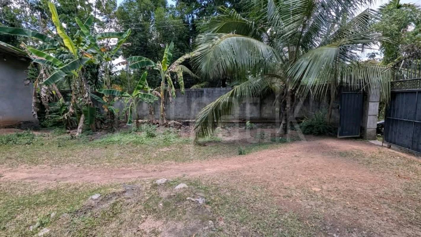 Residential Land for Sale in Pamunugama