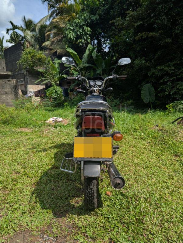 Advertisement image 2