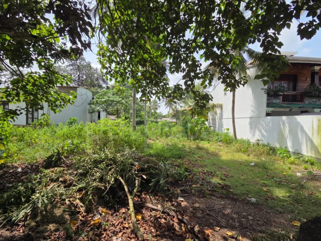Residential Land for Sale in Athurugiriya