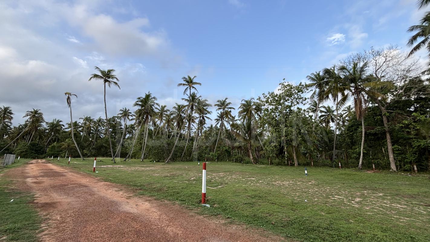 Residential Land for Sale in Madampe