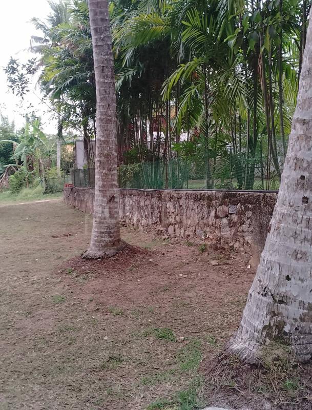 Commercial Land for Sale in Kottawa