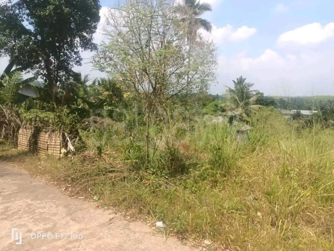 Agricultural Land for Sale in Maho