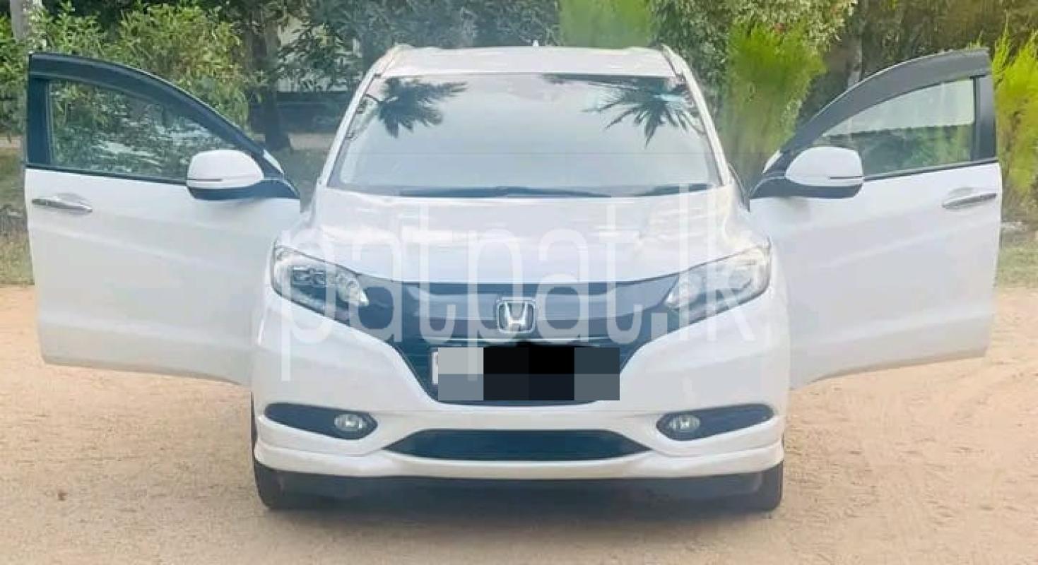 Advertisement image 3