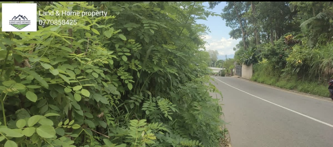 Commercial Land for Sale in Kundasale