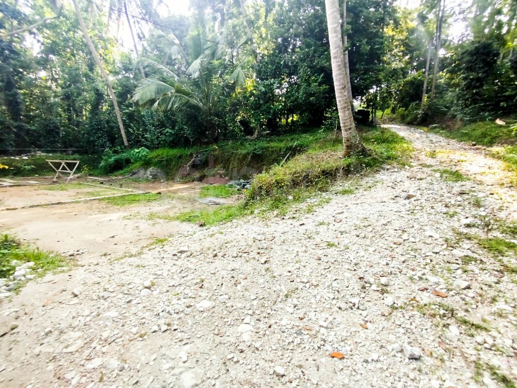 Residential Land for Sale in Menikhinna