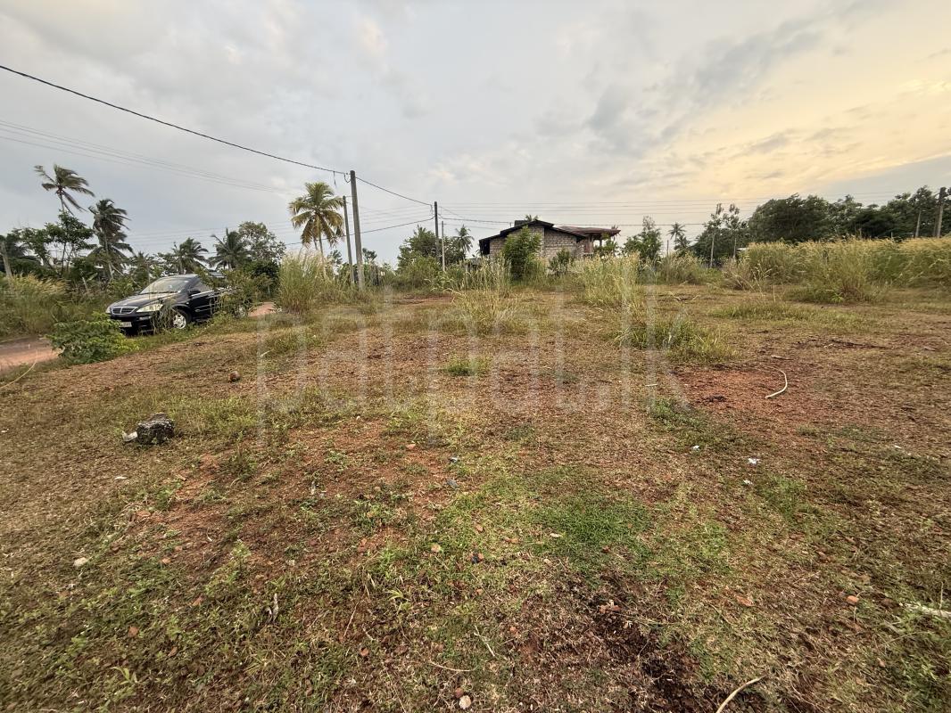 Residential Land for Sale in Kirindiwela ads-image-1