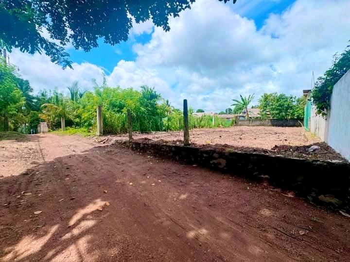 Commercial Land for Sale in Pannipitiya