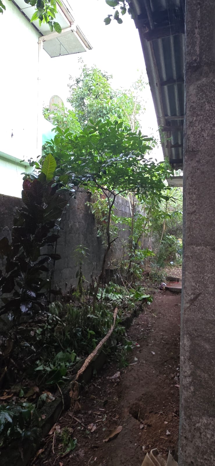 House for Sale in Kadawatha