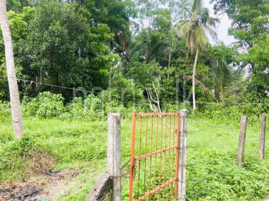 Advertisement image 1