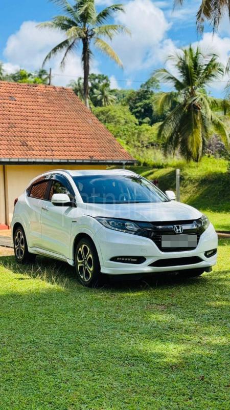 Advertisement image 3