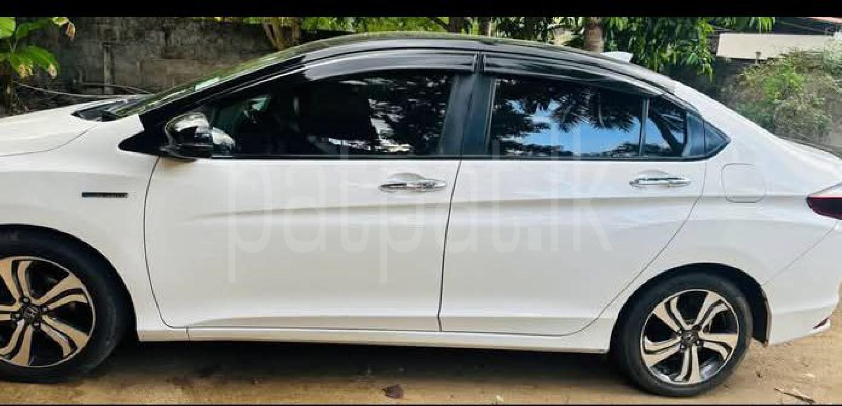 Advertisement image 6