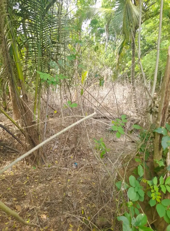 Residential Land for Sale in Tangalla