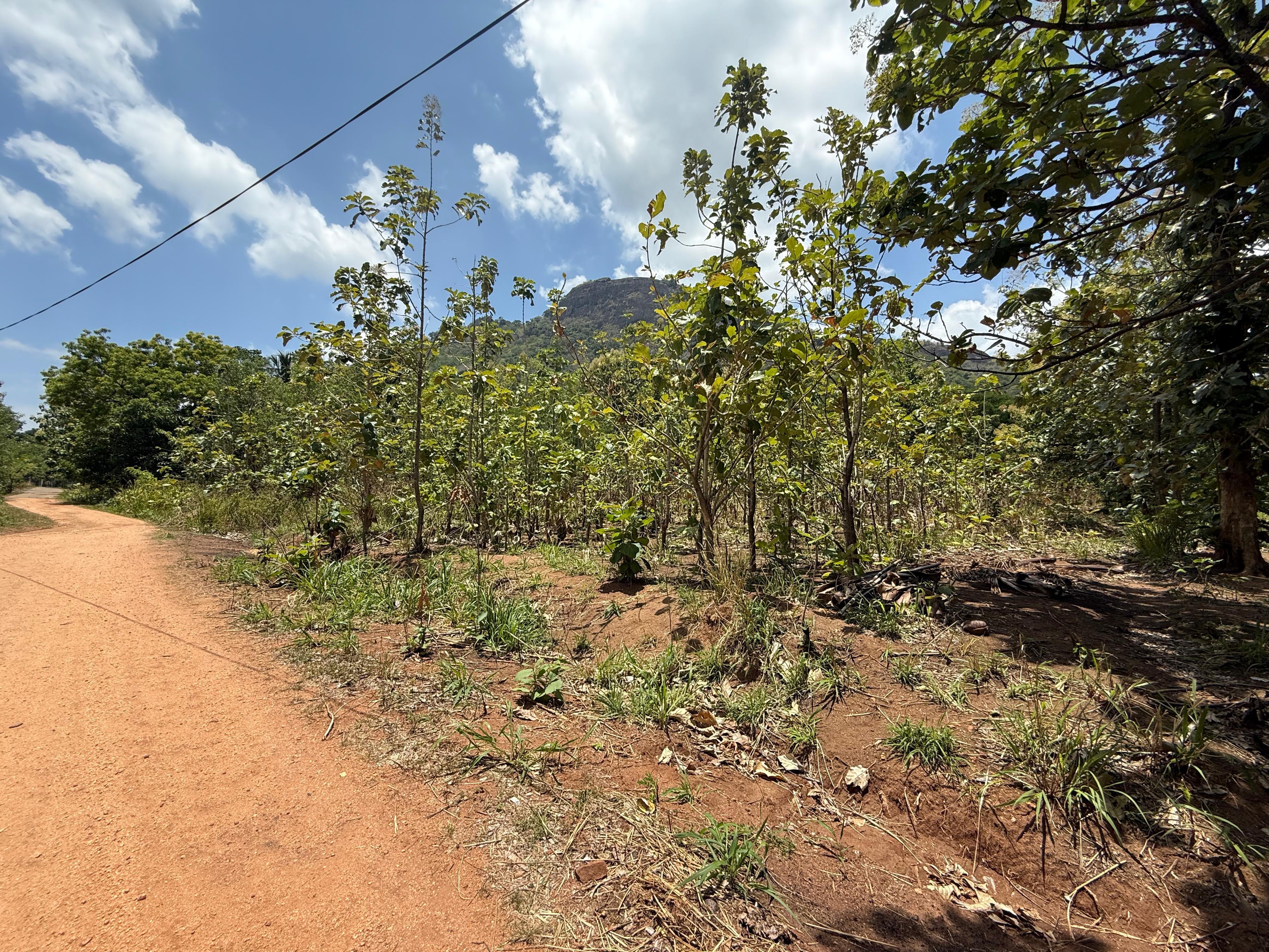 Residential Land for Sale in Lenadora ads-image-1