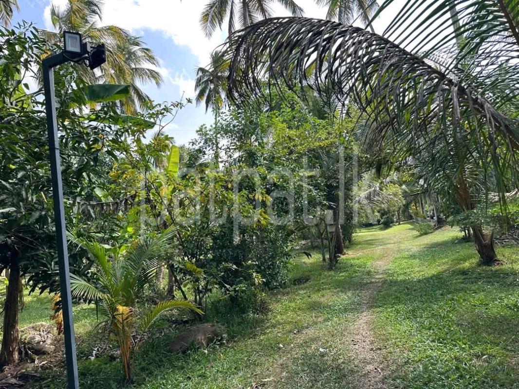 Agricultural Land for Sale in Wadduwa ads-image-1