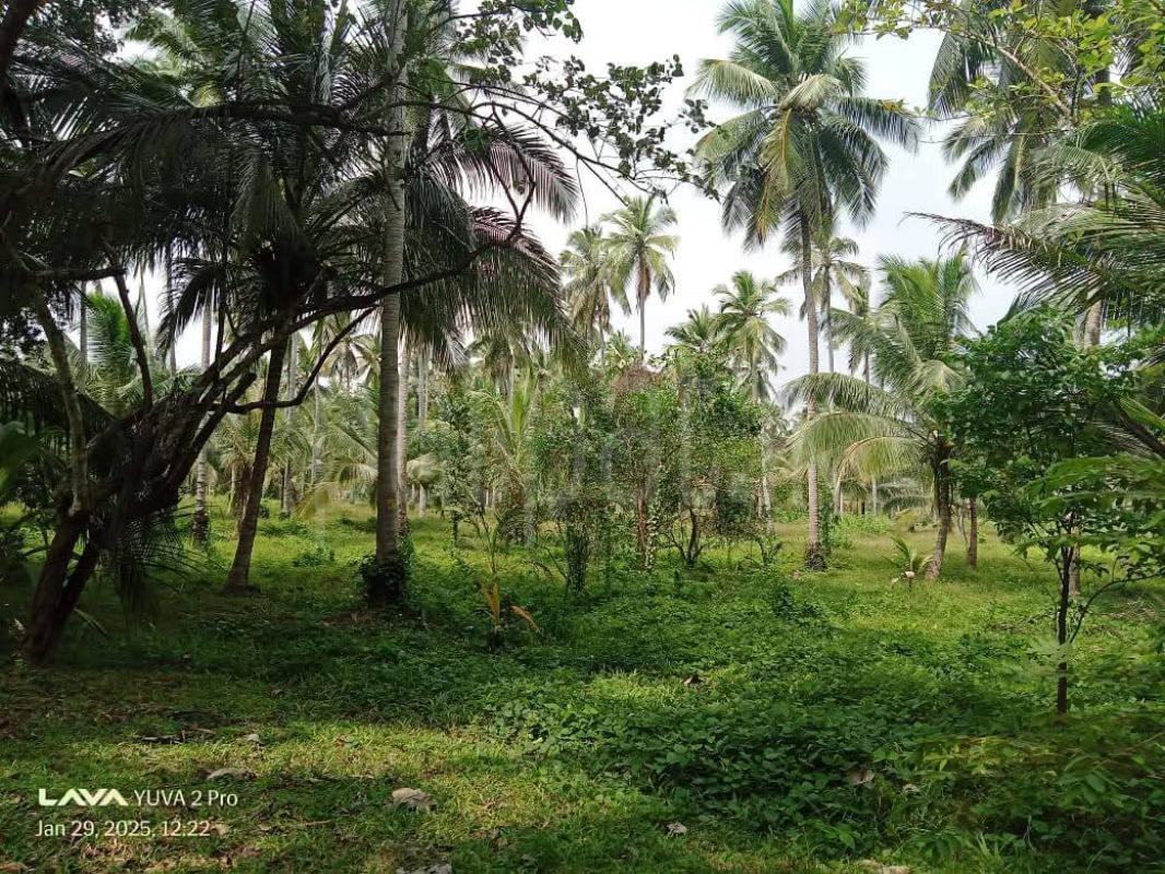 Agricultural Land for Sale in Wariyapola