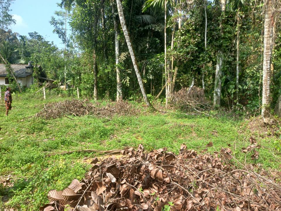 Residential Land for Sale in Horana