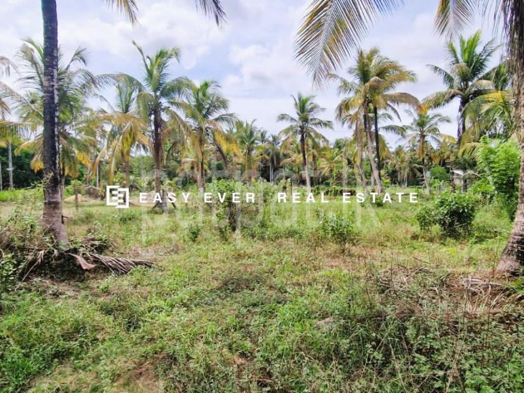 Residential Land for Sale in Kuliyapitiya