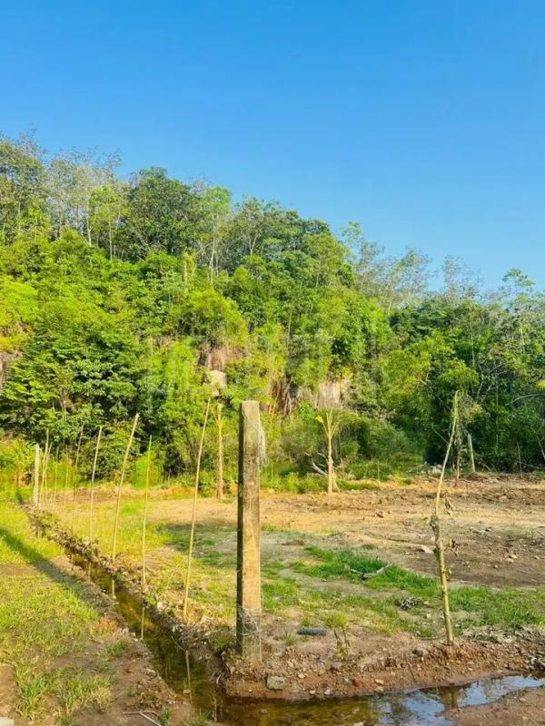 Residential Land for Sale in Kiriwattuduwa