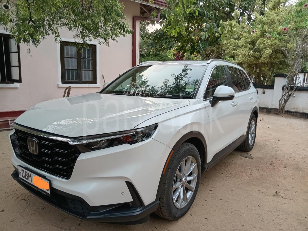 Advertisement image 6