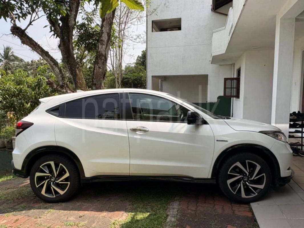 Advertisement image 6