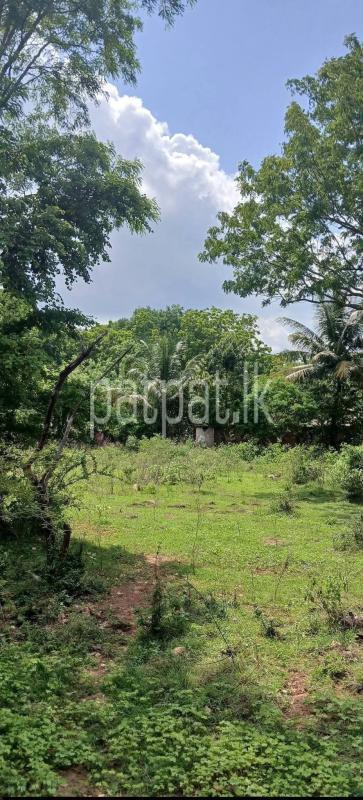Residential Land for Sale in Kataragama